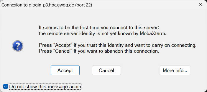 Screenshot of MobaXterm accepting the connection