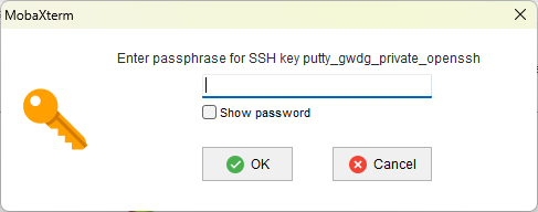 Screenshot of MobaXterm entering the password for the private key