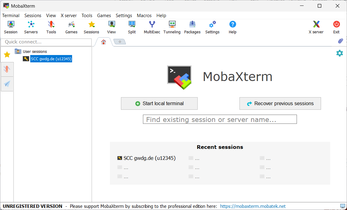Screenshot of MobaXterm with the new session