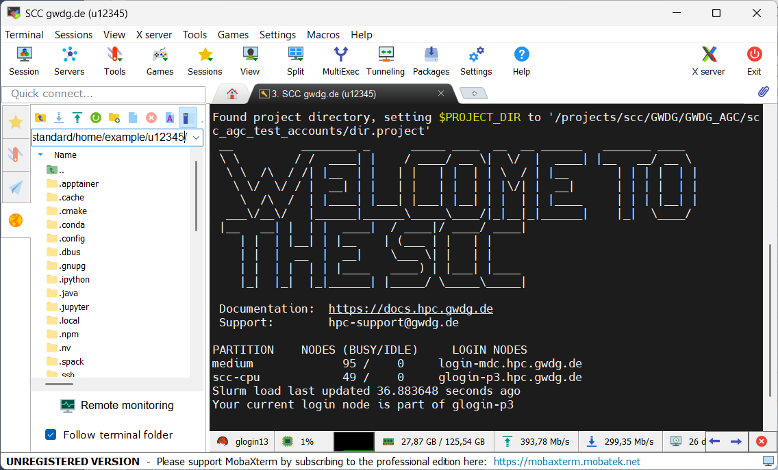 Screenshot of successful SSH connection within MobaXterm