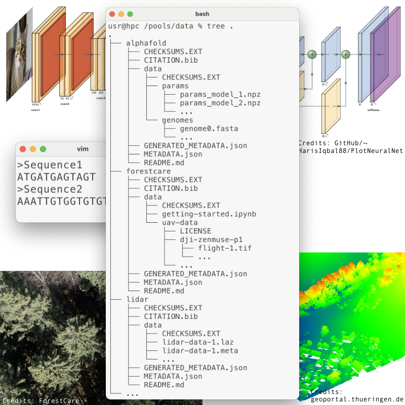 Visualization of a data pool showing the directory tree in a terminal window, two of the data images, a display of some gene sequences, and a diagram of the workflow in an image processing pipeline.